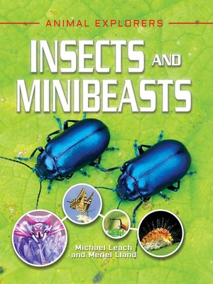cover image of Insects and Minibeasts